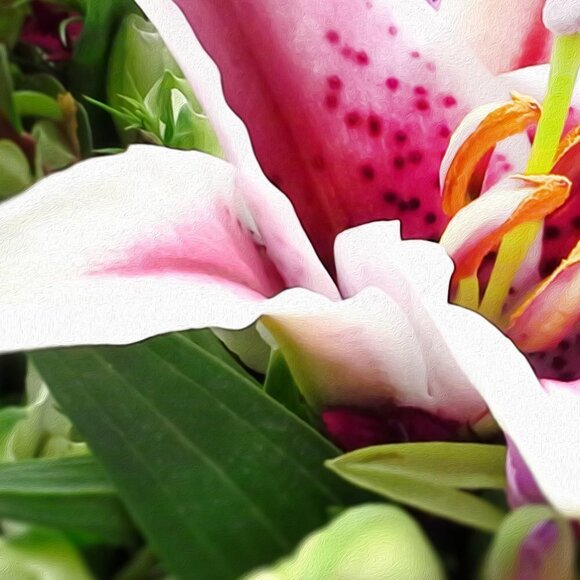 20x30 Asiatic Lily Rosella’s Dream Pink Flowers Oil Painting Art Poster Print‎ - Picture 4 of 5